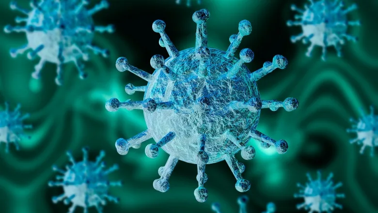 Coronavirus România: 2.086 de cazuri noi, în ultimele 24 de ore. 557 de pacienți internați la Terapie Intensivă