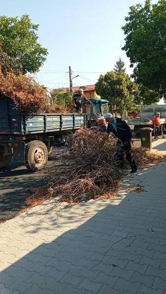 Activitățile de întreținere continuă în municipiul Giurgiu