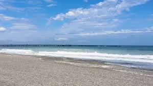 71 de sectoare de plajă din Mamaia, Constanța, Eforie Nord și Vama Veche vor fi închiriate de Apele Române