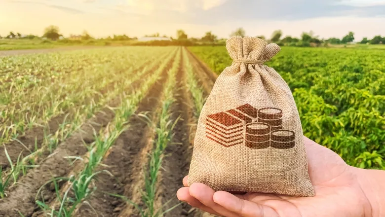 Termenul pentru depunerea cererilor de plată în cadrul campaniei agricole a fost prelungit