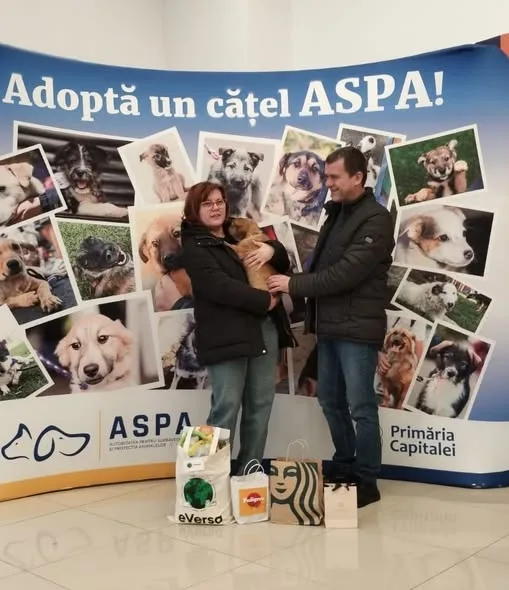 Târg organizat de ASPA București în Veranda Mall.