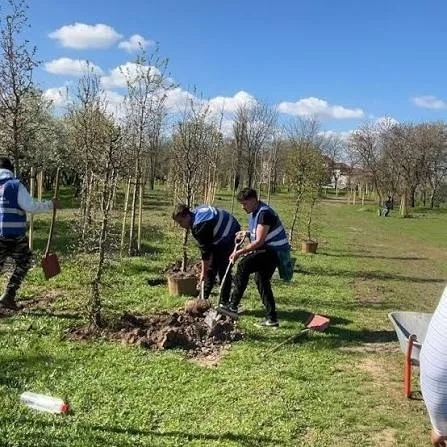 SECTORUL 5 înflorește cu ajutorul celor mici!