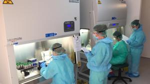 Atac cibernetic la un centru de testare COVID. Mai multe persoane au primit mesaje false că sunt infectate cu virusul
