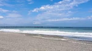 71 de sectoare de plajă din Mamaia, Constanța, Eforie Nord și Vama Veche vor fi închiriate de Apele Române