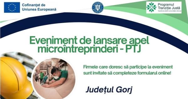 Sprijin concret pentru antreprenoriatul local &icirc;n Gorj!