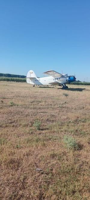 Demarează cea de-a doua etapă a dezinsecției aeriene