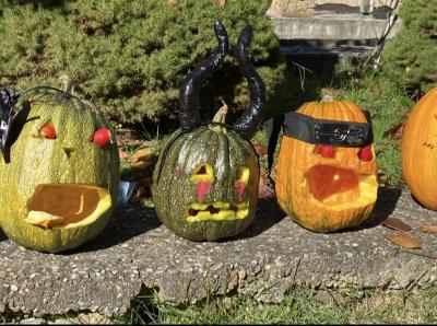 &bdquo;Sărbătoarea Dovlecilor Luminoși&rdquo; &icirc;n Gorj