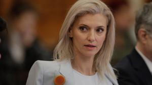 Gorghiu: se va urmări procedura simplificată de punere în aplicare a acestui mandat pe numele Cherecheș