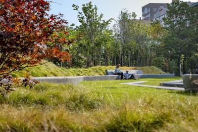 Păduri urbane în Municipiul Alba Iulia