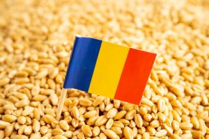 Exporturi record pentru agricultura rom&acirc;nească: aproape 500 de milioane de euro din animale vii &icirc;n 2025