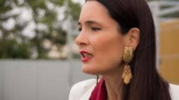 Comisia de la Veneția ar putea analiza cazul Toni Greblă