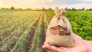 Termenul pentru depunerea cererilor de plată în cadrul campaniei agricole a fost prelungit