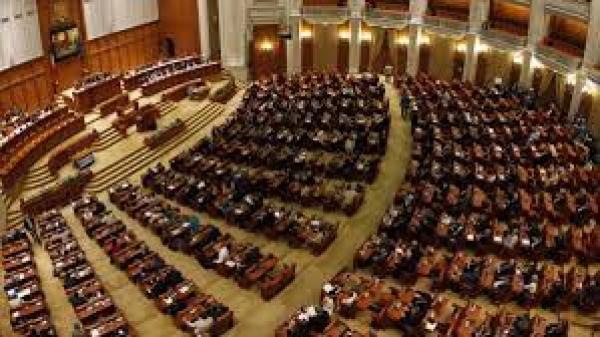 Sesiune extraordinară &icirc;n Parlament pentru modificarea legii privind &icirc;mpușcarea urșilor din Rom&acirc;nia