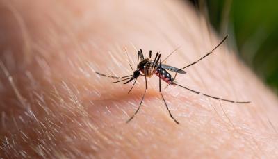 Avertisment de la MAE, după creșterea numărului de cazuri de ”malarie de import”