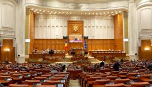 O comisie specială din Parlament va ancheta cazurile de violență din România