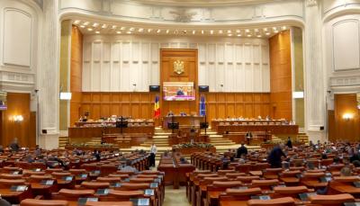 O comisie specială din Parlament va ancheta cazurile de violență din România