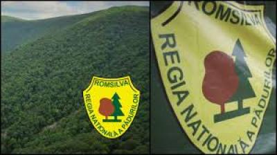 CA al Romsilva anunță declanșarea procedurii de selecție pentru ocuparea funcției de director general provizoriu