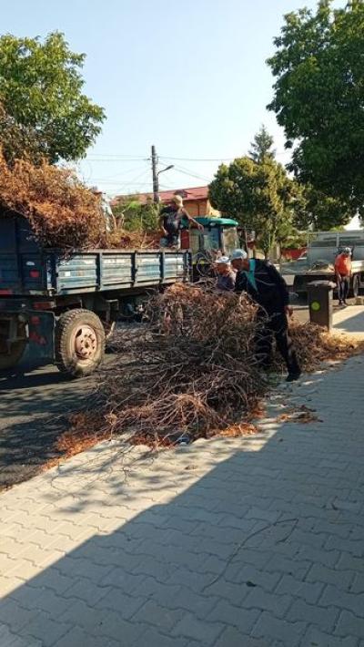 Activitățile de întreținere continuă în municipiul Giurgiu