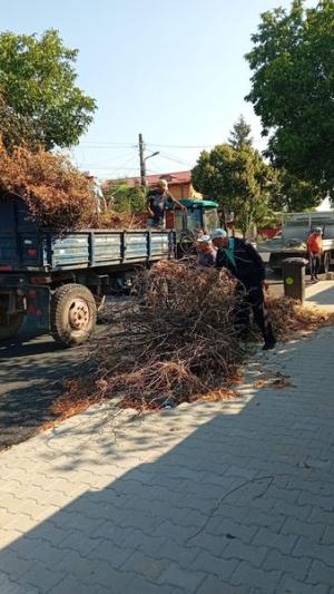 Activitățile de întreținere continuă în municipiul Giurgiu