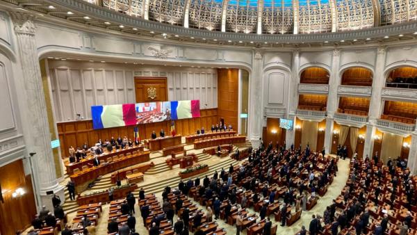 Declarație parlamentară: România se angajează să combată violența domestică