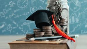 Propunere legislativă privind bursele pentru studenții români de pretutindeni