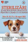 Campanie de sterilizare gratuită câinilor în Neamț