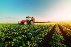 Guvernul oferă 250 de milioane de euro cultivatorilor din sectorul vegetal pentru pierderile suferite din cauza războiului din Ucraina