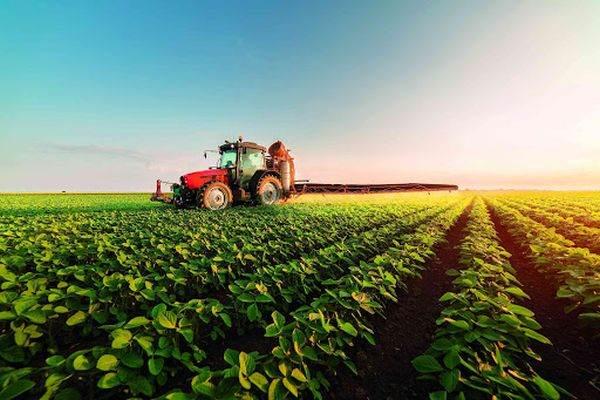 Guvernul oferă 250 de milioane de euro cultivatorilor din sectorul vegetal pentru pierderile suferite din cauza războiului din Ucraina