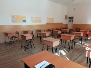 Ligia Deca: Aproximativ 3 milioane de elevi vor începe luni cursurile