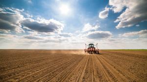 Fermierii rom&acirc;ni după ce au aflat despre mărirea impozitelor: un atac la securitatea agroalimentară națională