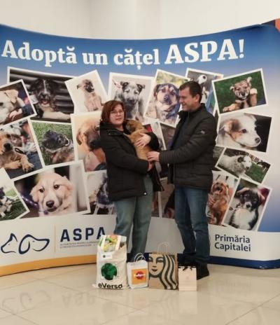 T&acirc;rg organizat de ASPA București &icirc;n Veranda Mall.