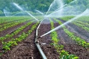 Ministrul Agriculturii: vom schimba condițiile pentru acordarea Creditului Fermierului