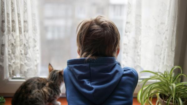 Cum va fi vremea de Crăciun şi de Revelion