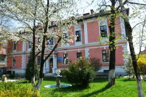 „Sunt și eu un mic matematician”pentru elevii CES din Cluj-Napoca