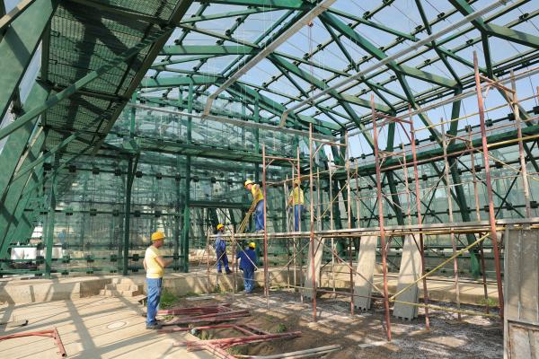 Seră de plante exotice la Galați, pe malul Dunării. Investiție a Consiliului Județean Galați