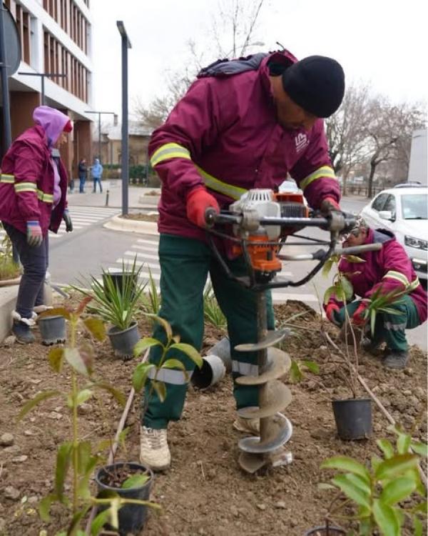 Program de plantări &icirc;n Sectorul 3