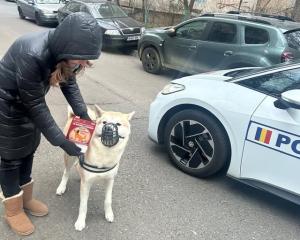 199 de proprietari de câini, sancționați pentru nerespectarea obligațiilor