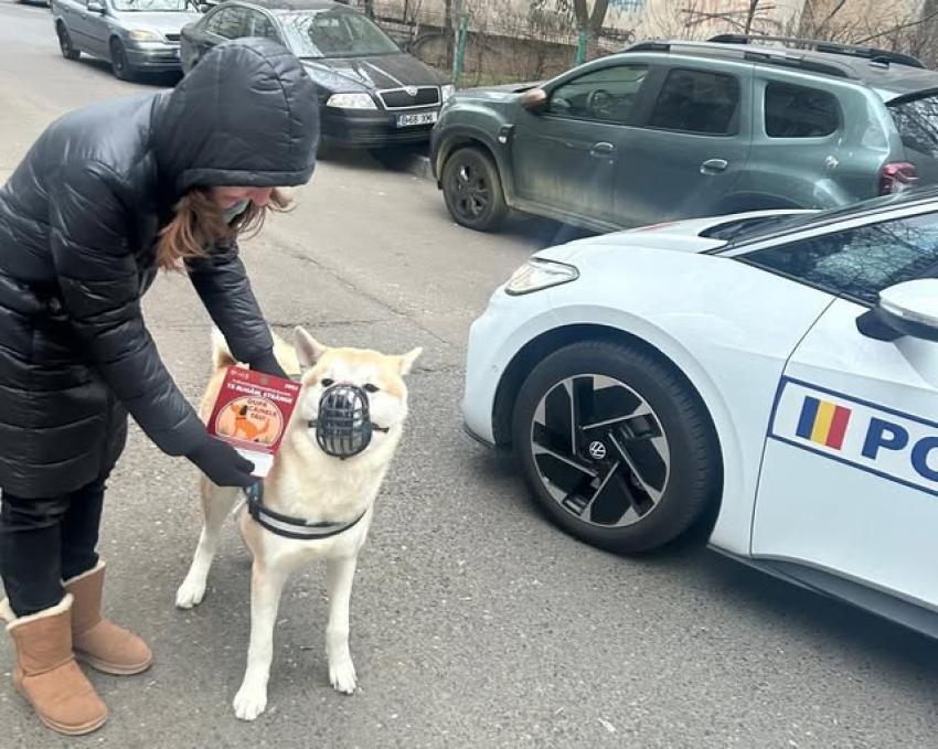 199 de proprietari de câini, sancționați pentru nerespectarea obligațiilor