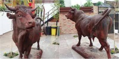 Sculptura chinezească, donaţie a Organizaţiei Profesionale a Măcelarilor din Brăila, ajunge în Piața Mare