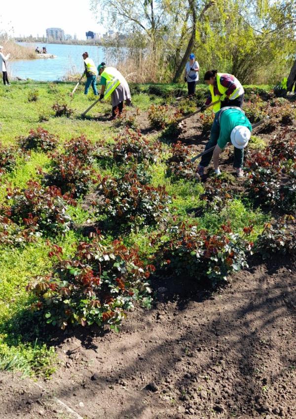 Constanța devine un oraș mai verde!