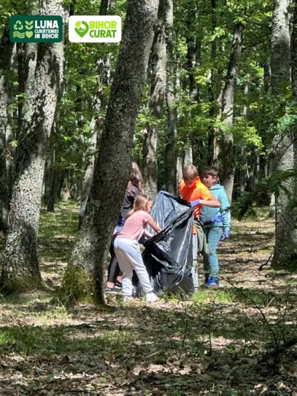 Elevii bihoreni, c&acirc;știgători ai concursului ,,Bihor Curat&rdquo; &ndash; ediția 2025