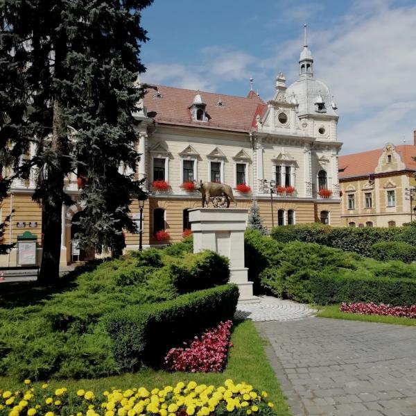 Brașovul concurează pentru titlul de Capitală Verde Europeană 2026