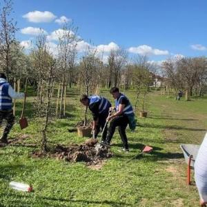 SECTORUL 5 &icirc;nflorește cu ajutorul celor mici!