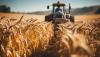 Guvernul a aprobat suplimentarea unor sume de bani pentru agricultori și sportivi