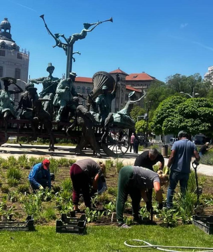 Se refac spațiile verzi din București