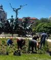 Se refac spațiile verzi din București